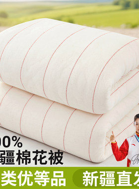 【优等品】新疆棉花被纯棉冬季厚