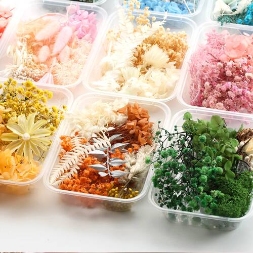1 Box  Artificial Plants Natural Real Dried Flowers  for Can