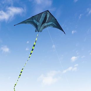 2m Aircraft Kite Delta Kite Suitable for outdoor