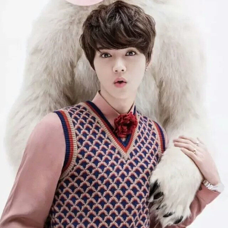 Perruque cheveux courts - Ref 2608172 Image 1