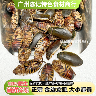 正宗野生小金边龙虱水老鳖冷冻