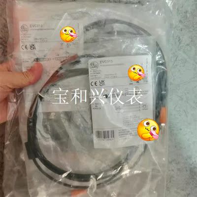IFM易福门EVC313