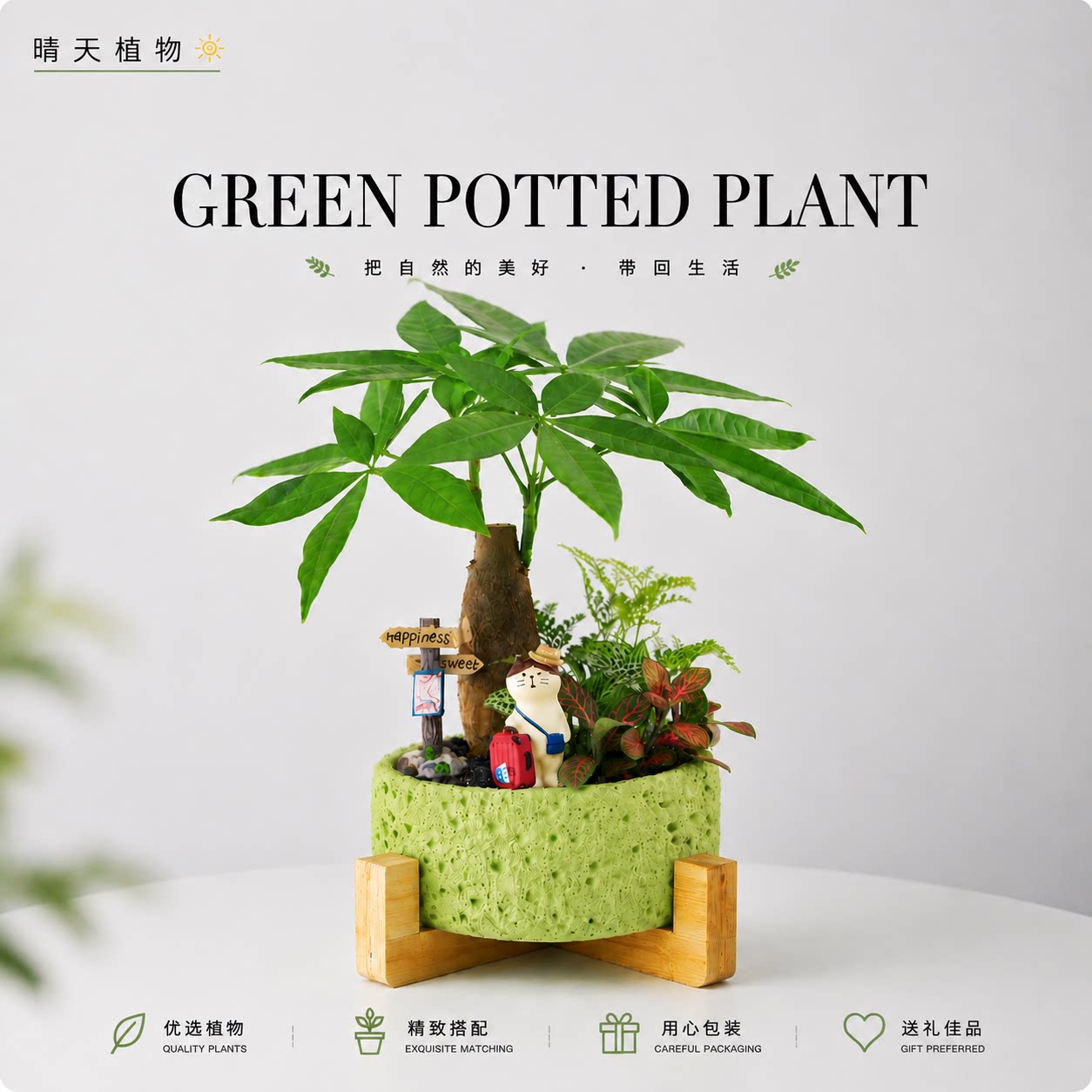发财树微景观盆栽室内桌面创意小绿植办公室好养摆件客厅趣味盆景