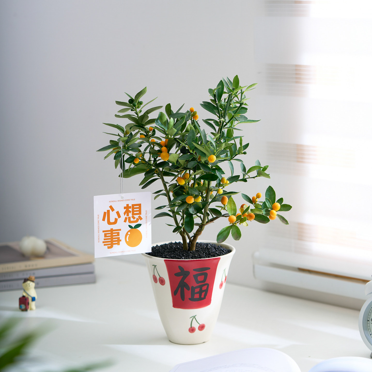 【福到】金豆福豆人工培育年宵花招财盆栽办公室内客厅绿植摆件
