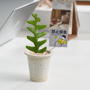 【禁止摸鱼】鱼骨令箭万重山盆栽办公室内外桌面可爱创意多肉植物