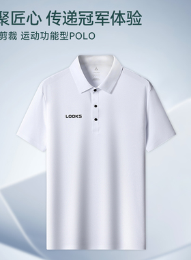 路克士潮牌短袖冰感POLO衫男子2024夏季新款翻领T恤运动衣1629款