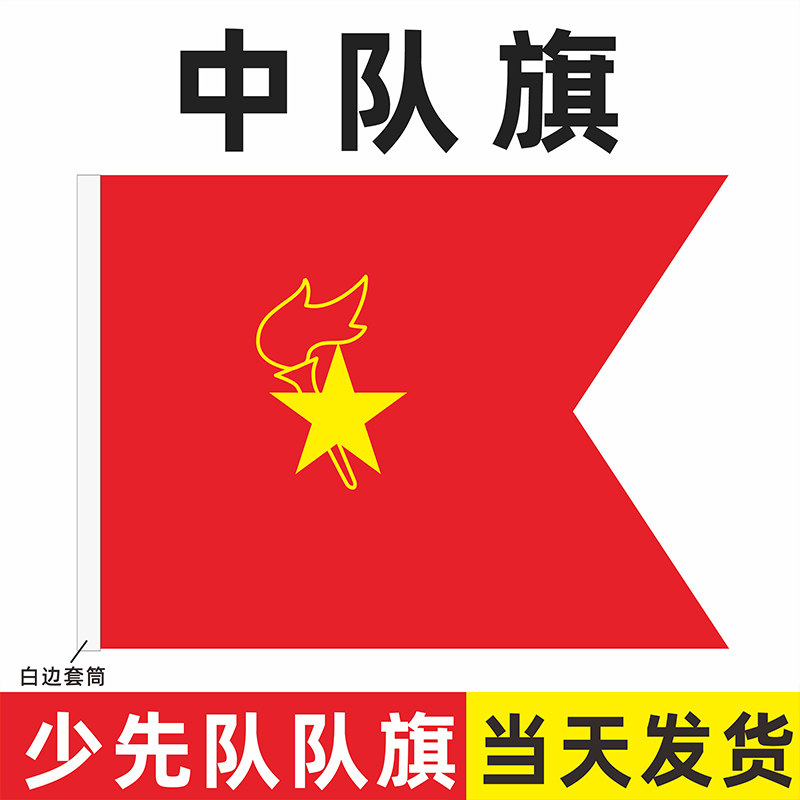 少先队队旗手持中国少年先锋队队旗中队旗手拿小学生少先队员队旗