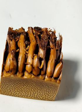 竹根雕带须印章料纯手工文玩