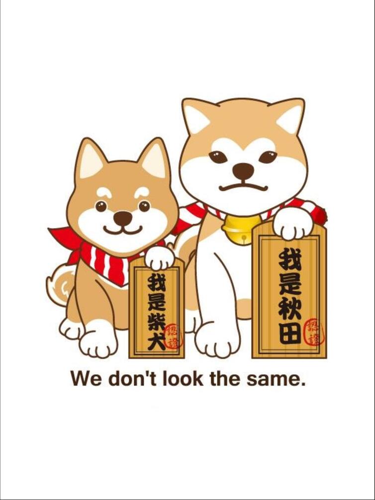 现代简约日本秋田与柴犬狗狗客厅卧室玄关挂画壁画无框画装饰画