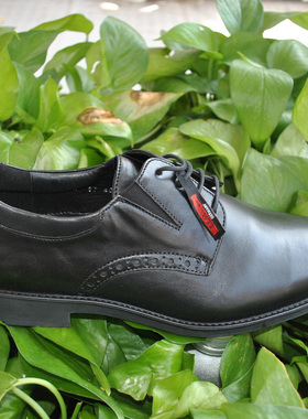 国内现货Lloyd利来 男鞋 商务正装休闲皮鞋26-869-00产地罗马尼亚