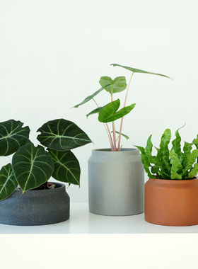 韩式创意红色水泥花盆兰花蝴蝶兰ins网红套盆陶盆多肉绿植盆栽