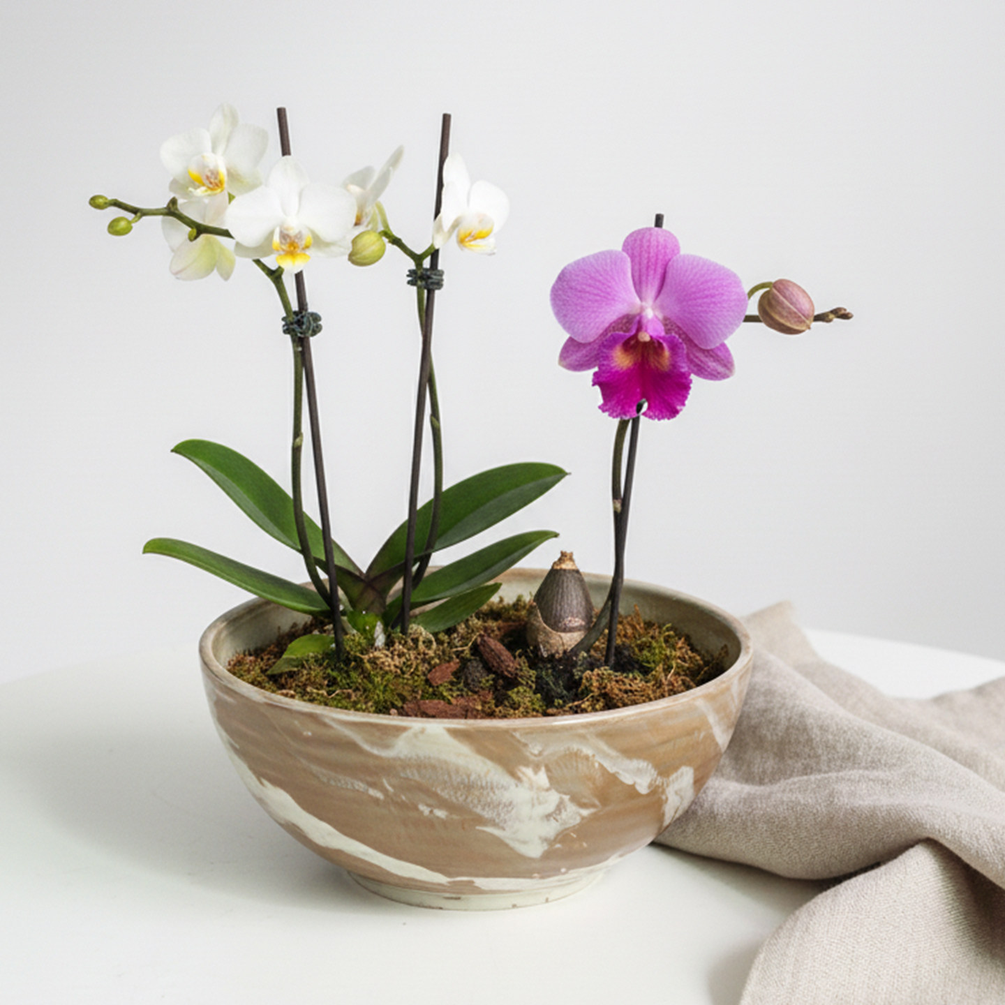 大口径陶瓷圆形花盆多肉绿植盆栽蝴蝶兰水仙花无孔水培矮盆20CM