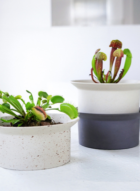 北欧陶瓷浅口花盆矮款多肉ins盆栽矮宽口小陶土陶盆铜钱草大口径