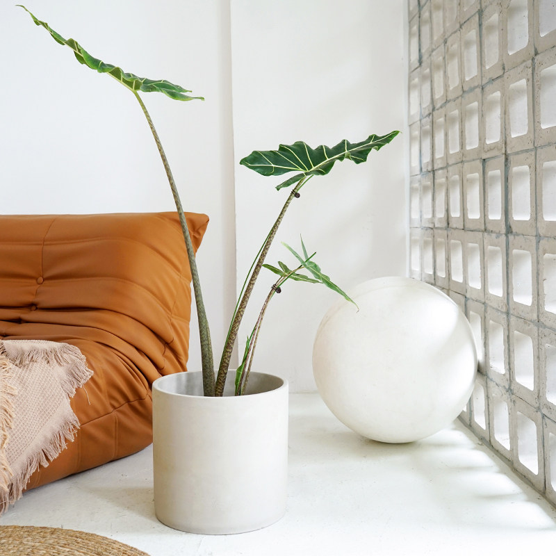 日式极简水泥花盆落地琴叶榕客厅特大35CM口径禅意圆柱客厅大号