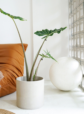 日式极简水泥花盆落地琴叶榕客厅特大35CM口径禅意圆柱客厅大号