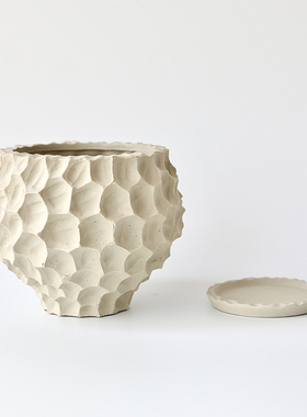 创意蝴蝶兰盆栽植物花盆客厅异形陶瓷兰花陶盆装饰摆件轻奢高级感