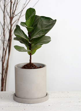 北欧简约水泥花盆侘寂风ins量天尺陶瓷陶盆粗陶带托盘家用盆栽大