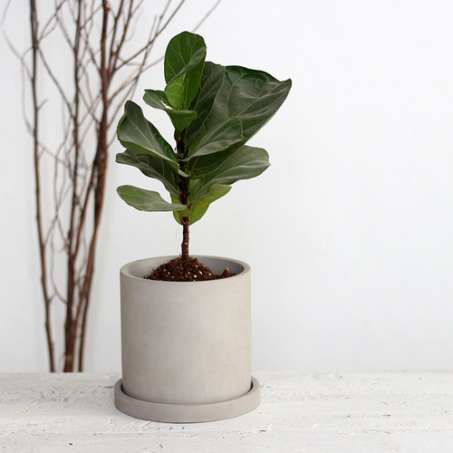 北欧简约水泥桌面花盆