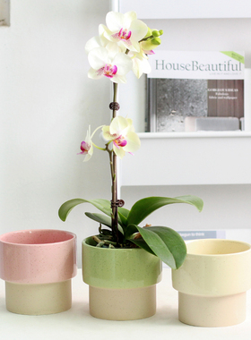 韩式多肉陶瓷花盆ins水培无孔兰花专用盆创意奶油风小号陶盆套盆