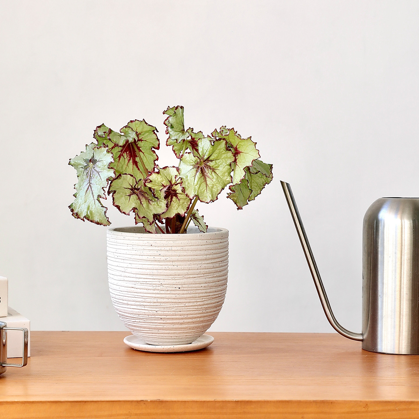 简约陶瓷圆形花盆白色纹理设计室内绿植种植盆栽装饰套盆粗陶质感