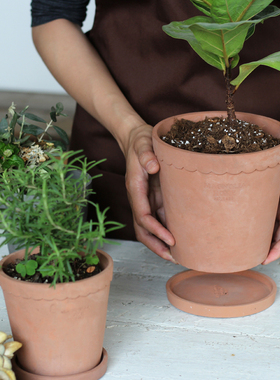 水泥花盆帝罗马红陶粗陶蝴蝶兰土陶陶盆陶土陶瓷兰花透气盆栽带托