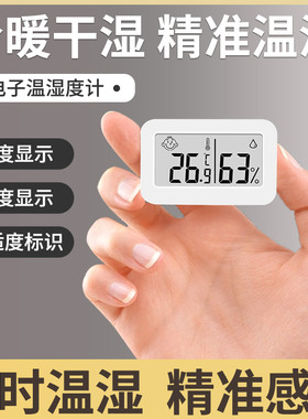 室内温度计家用高精度显示器爬宠车载精准温湿度计电子湿度表专用