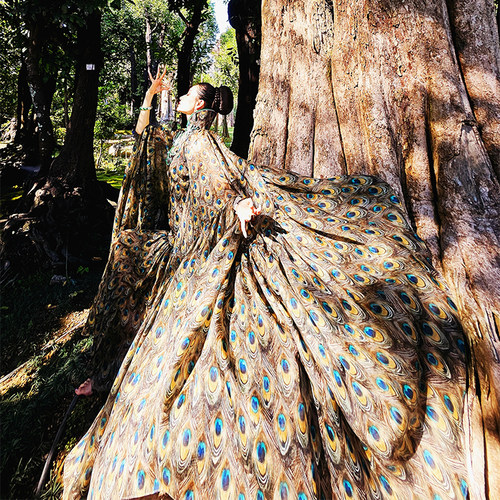 我是朱丽叶原创全真丝绡提花欧根纱凤仙领孔雀女王衣