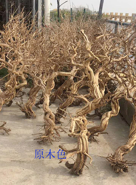 树枝装饰干树原木定制干枝