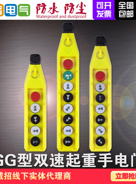 双速电动葫芦GG双梁起重机炉排电机COBP两档快慢速行车起重手电门