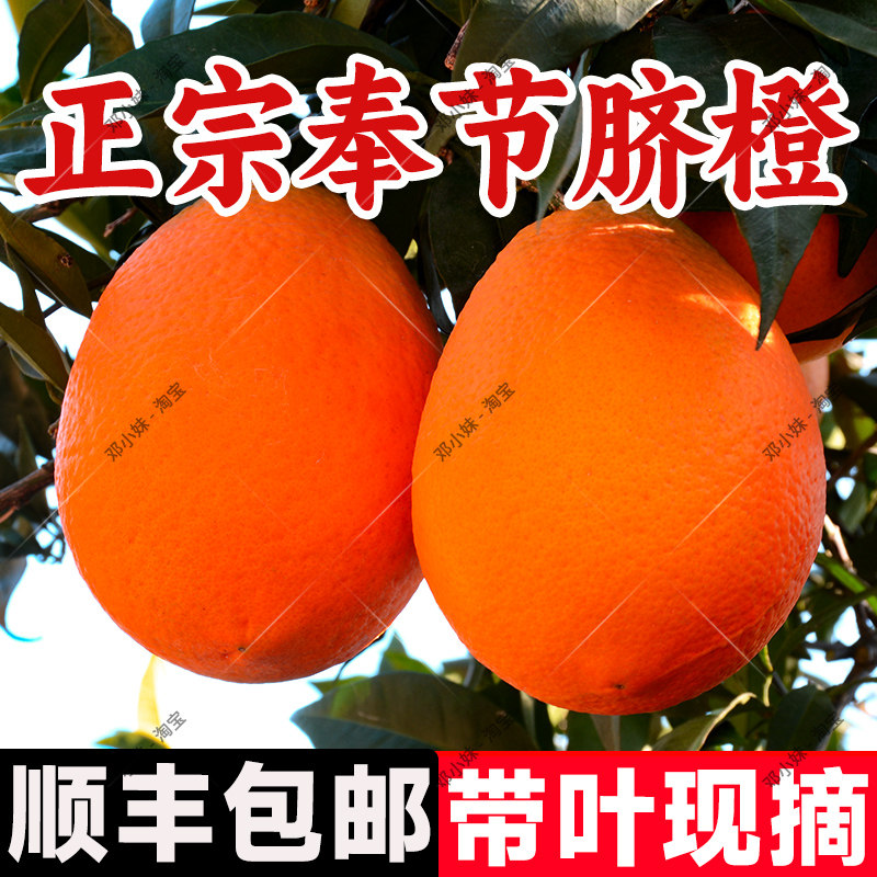 重庆奉节脐橙纽荷福本10带叶送礼
