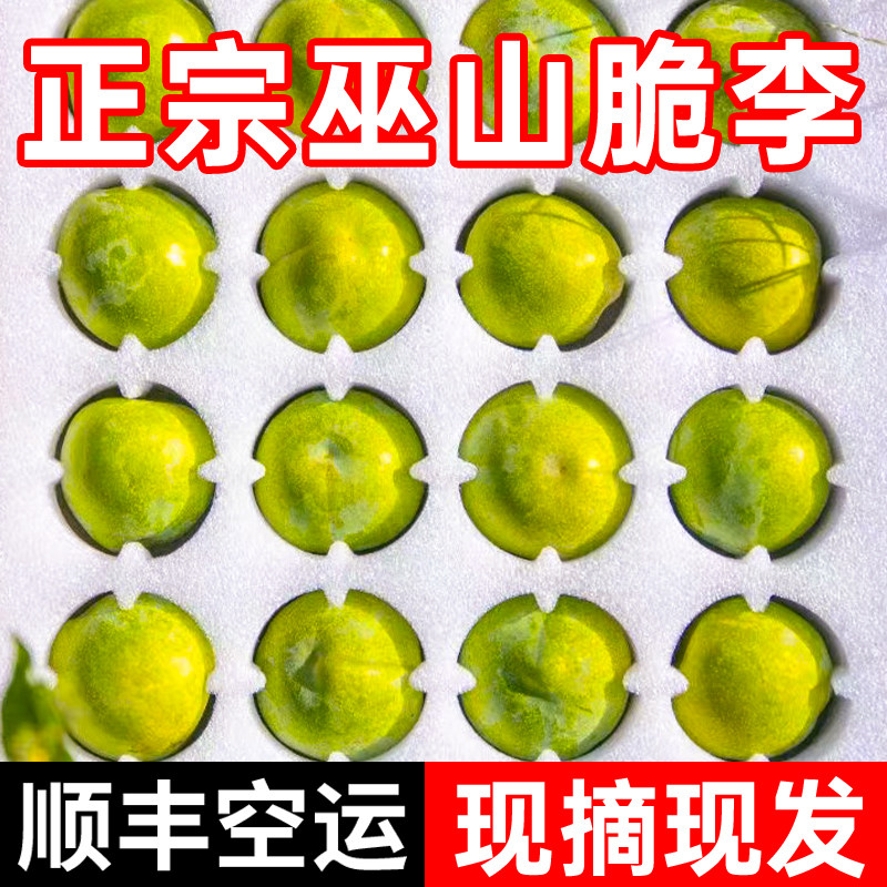 巫山发货空运正宗巫山脆李子新鲜大果现摘脱骨李青脆李纯甜礼盒装