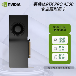 NVIDIA英伟达RTX PRO 4500 Blackwell 32GB建模渲染专业图形显卡