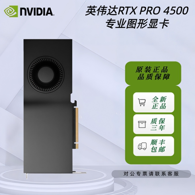 NVIDIA英伟达RTX PRO 4500 Blackwell 32GB建模渲染专业图形显卡
