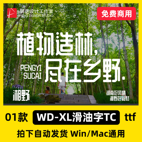 WD-XL滑油字TC Regular 台湾香港字体可免费商用繁体中文安装包