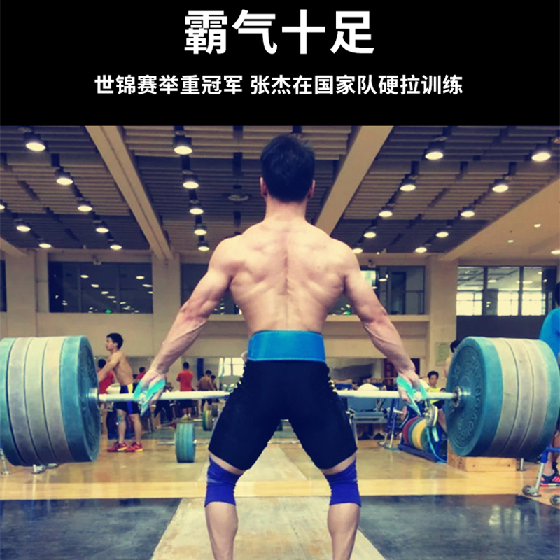 qlee腰带举重运动专业训练硬拉