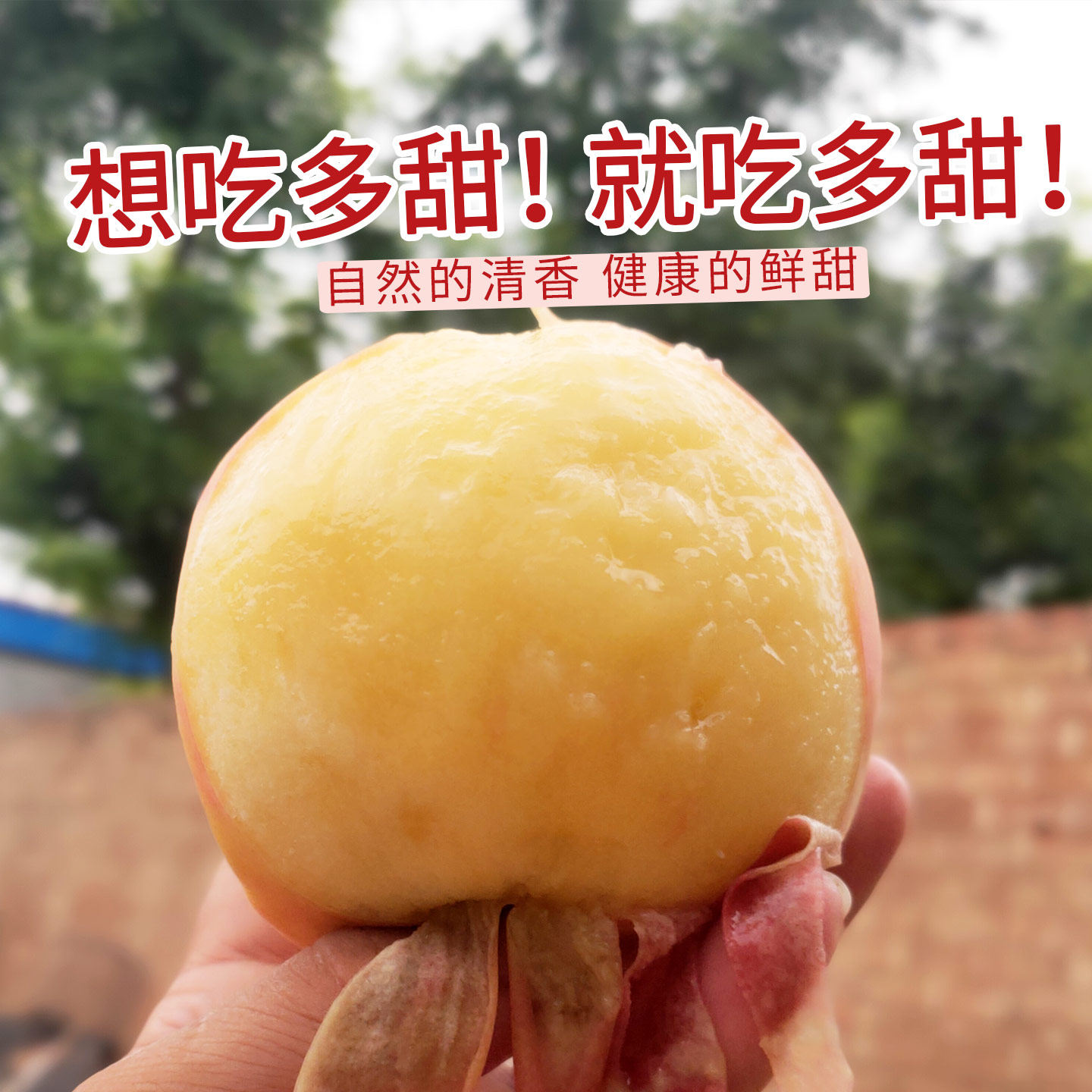 博陵果仙深州水蜜桃现摘新鲜水果多汁香甜软桃子礼盒应季时令大果