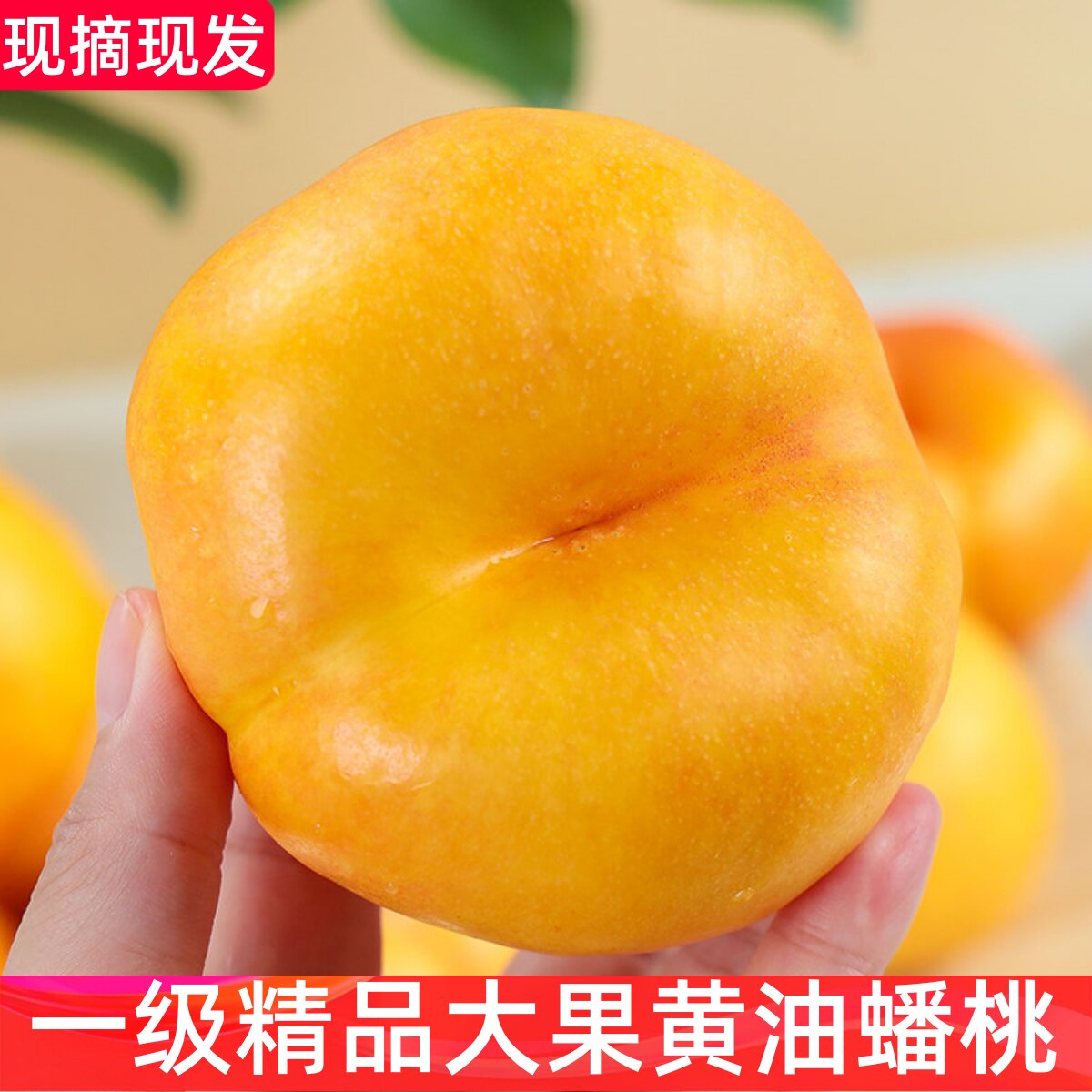 山东蒙阴扁桃黄金油蟠桃新鲜水果彩虹果肉整箱奶油蜜桃现摘现发5