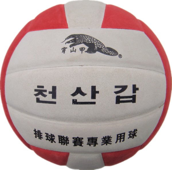 Ballon de volley-ball - Ref 2015231 Image 1