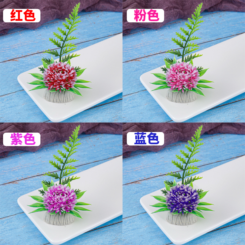 摆盘装饰花草【刺球花】