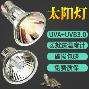 包邮 uvb3.0太阳灯补钙杀菌加热全光谱变频灯泡迷你 乌龟晒背灯uva