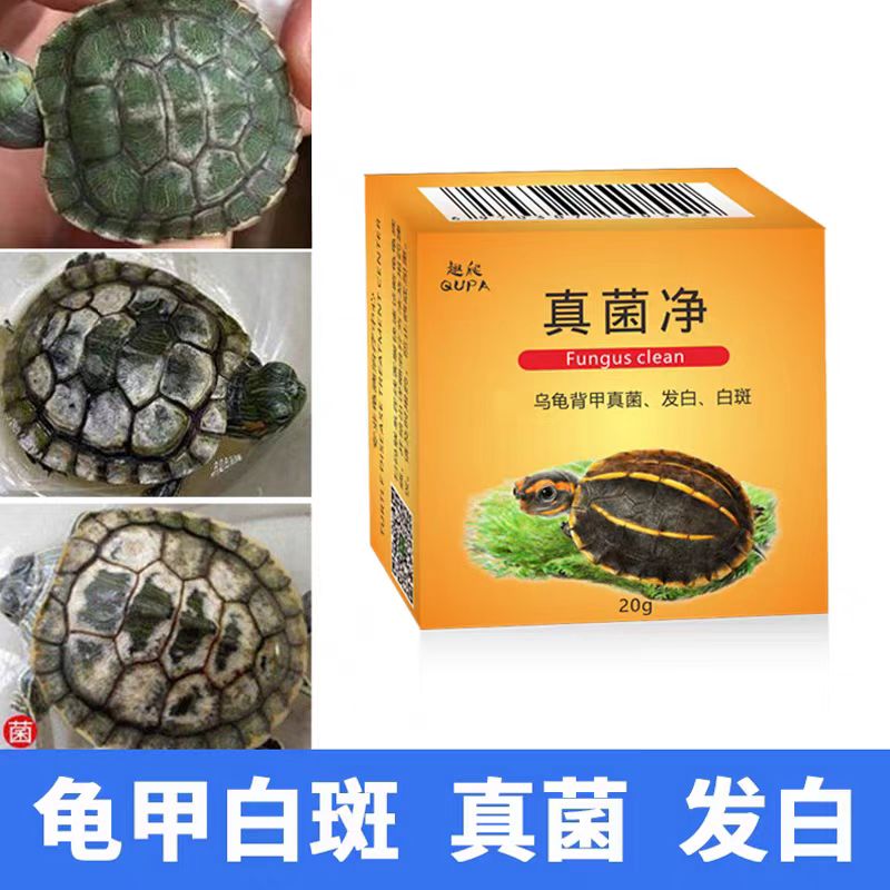 乌龟真菌净背甲白斑护理水龟半水龟龟甲龟壳发白水碱白斑背甲水垢