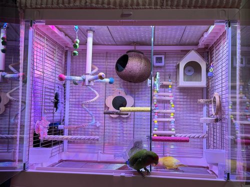 达洋B6045/B6047SS专用鹦鹉鸟笼隔离板白色不透明亚克力隔板隔断