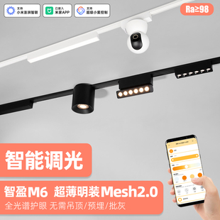 已接入米家APP智能超薄明装 磁吸轨道灯6mm黑白色免吊顶客厅无主灯