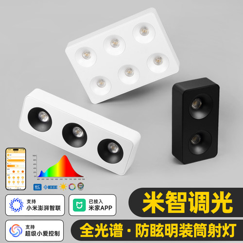 智能明装斗胆灯筒射灯LED全光谱