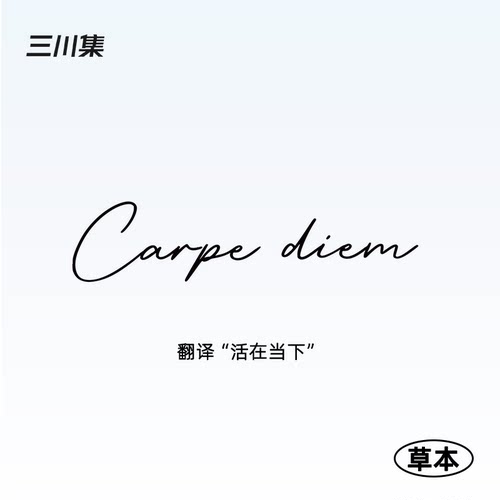 拉丁文草本纹身贴套装防水持久