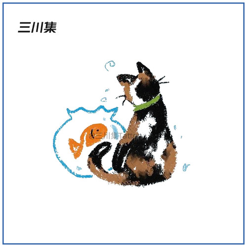 观鱼小猫 猫咪 猫猫纹身贴 彩色宠物仿真贴纸 个性手臂防水持久女