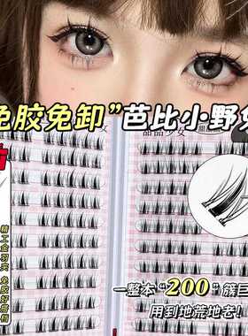 FAICCIA免胶小野兔假睫毛霏汐