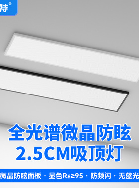 定制产品全光谱办公室LED长条灯阳台明装超薄长方形护眼灯吸顶灯