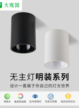 大观园明装筒灯射灯led天花灯家用吸顶式玄关走道客厅无主灯 495L