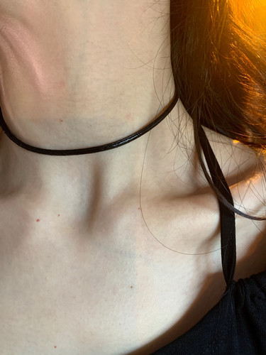 棠洛 细款亮面蛇纹choker颈链女修饰脖颈项圈小众百搭叠戴项链潮